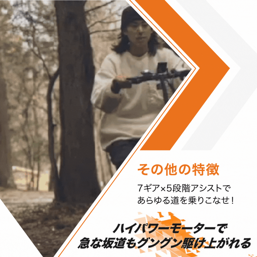 電動自転車 折りたたみ 最長150km走行可能 ENGWE C20 PRO E-BIKE 電動アシスト自転車 ファットバイク 20×3.0インチ 電気自転車 5段階アシスト 7段変速 サイクリング アウトドア パワフル おしゃれ スポーツ オフロード 通勤 通学 免許不要 ebike eバイク
